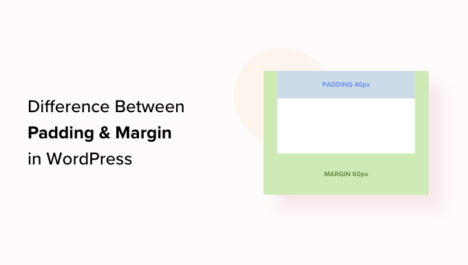 Padding vs Margin – What’s the Difference in WordPress?