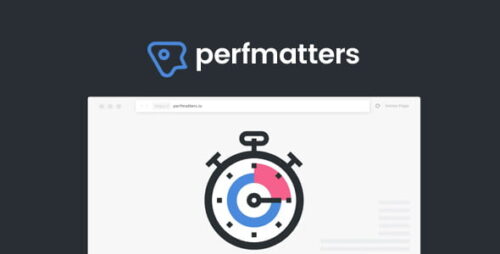 Perfmatters 2.4.2 – The #1 Web Performance Plugin for WordPress