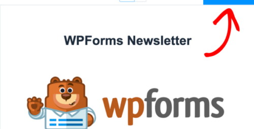 Newsletter WP Forms Addon 1.3.4