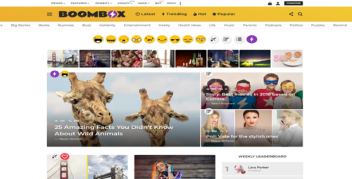BoomBox 2.9.6 – Viral Magazine WordPress Theme