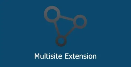 All-in-One WP Migration Multisite Extension 4.42