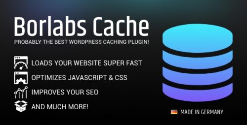 Borlabs Cache WordPress Caching Plugin 3.0.10.4