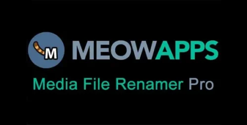 Media File Renamer Pro 6.0.9