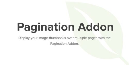 Envira Gallery Pagination Addon 1.8.6