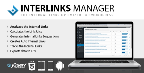 Interlinks Manager WordPress Plugin 1.33