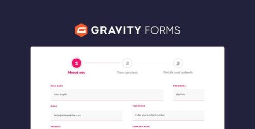 Gravity Forms 2.9.5.2 + 64 Addons Bundle