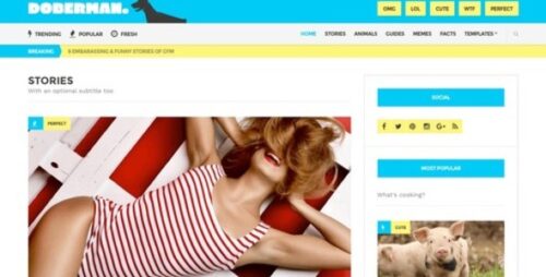 CSS Igniter Doberman 1.4.3