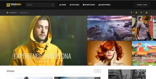True Mag 4.3.10 – WordPress Theme for Video and Magazine