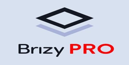 Brizy Pro WordPress Plugin 2.6.13