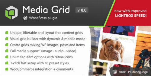 Media Grid 8.3.1 – WordPress Responsive Portfolio Plugin