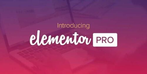 Elementor Pro 3.30.0 + Elementorism Landing Pages WordPress Plugin